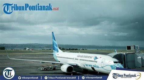 Grafik Penumpang Pesawat Naik Keungan Garuda Diprediksi Membaik