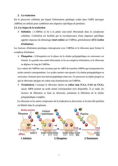 Solution Code G N Tique Et Traduction Studypool