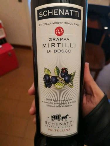 N V Schenatti Grappa Mirtilli Di Bosco Vivino Singapura