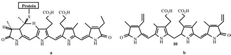 Chemical Structure Of Phycocyanin Bilin Chromophore Open Chain