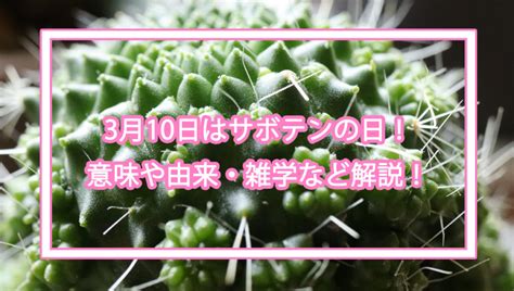 3月10日はサボテンの日！サボテンの意味や由来・雑学など解説！今日は何の日？ トレトレの昨日の？を今日で解決！