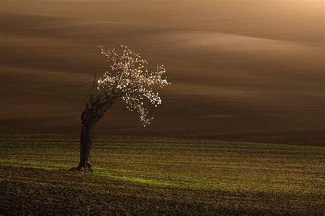 Landscape of South Moravia on Behance