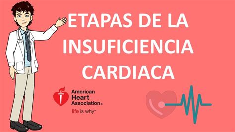 Generalidades Sobre La Insuficiencia Cardiaca Medlineplus Enciclopedia