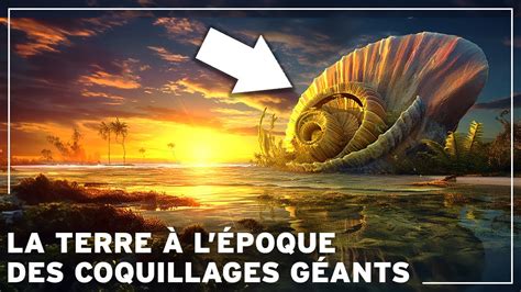 Les Titans Des Mers Pr Historiques L Re Perdue Des Coquillages G Ants