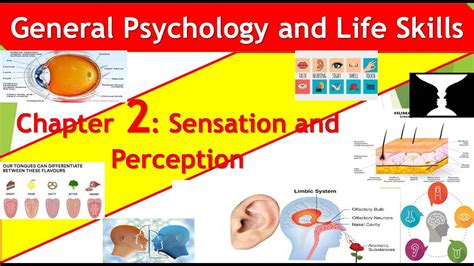 General Psychology Chapter 2 Sensation And Perception Youtube