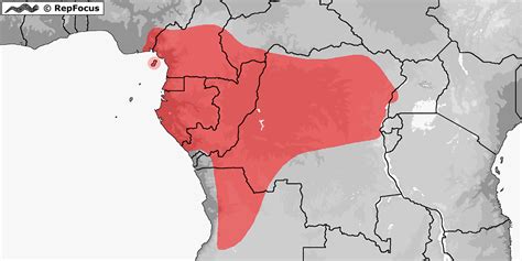 Distribution Of Polemon Collaris RepFocus