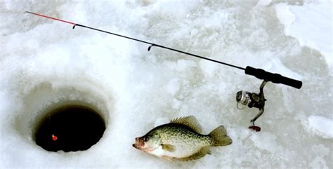 Options For Building A Custom Ice Fishing Rod - Mud Hole Blog