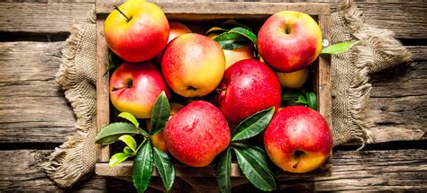 The 5 Best Apple Varieties to Discover - Falstaff