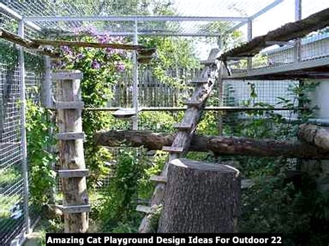 Amazing Cat Playground Design Ideas For Outdoor Sweetyhomee Cat