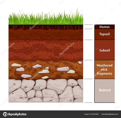 Soil Layer Infographic Earth Geology Formation Bedrock Weathered Rock ...