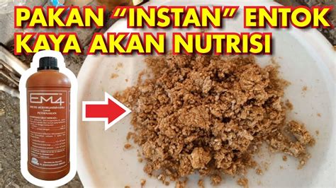 Hasil Fermentasi EM4 Untuk Makan Pagi Entok YouTube