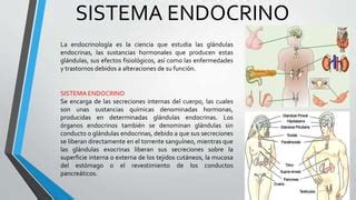 Sistema Endocrino Ppt