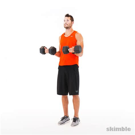 Bicep Curls - Exercise How-to - Skimble Workout Trainer