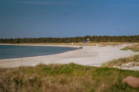 Tofta Strand Surflogiet Vidhave Gotland