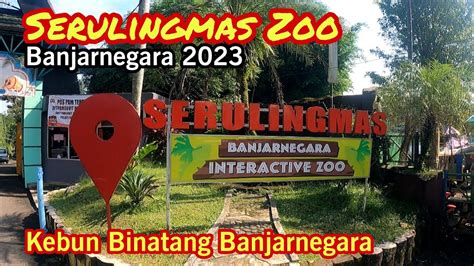 serulingmas zoo terbaru  rekreasi  kebun binatang serulingmas