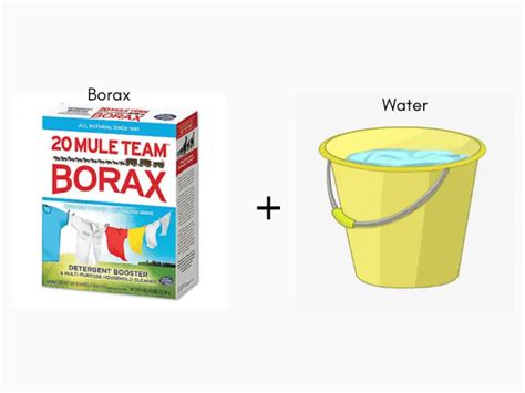 Does Borax Kill Mold and Mildew? How to Clean with Borax - Airlucent