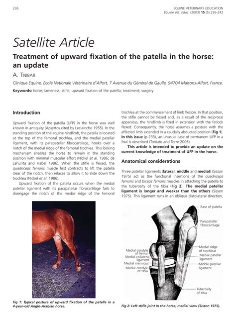 Pdf Treatment Of Upward Fixation Of The Patella In The Horse An Update