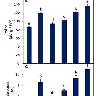 Effect Of Salinity Stress 100 MM NaCl On Relative Gene Expression Of