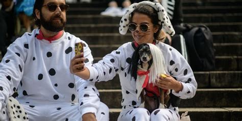 24 Best Matching Dog and Owner Halloween Costume Ideas for 2022