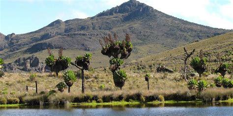 Mount Elgon National Park Pamoja Tours And Travel