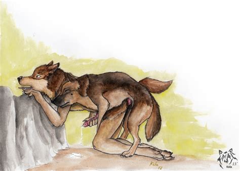 Rule 34 2013 Anthro Anthro On Feral Anthro Penetrated Artist Logo Brown Body Brown Fur Canid