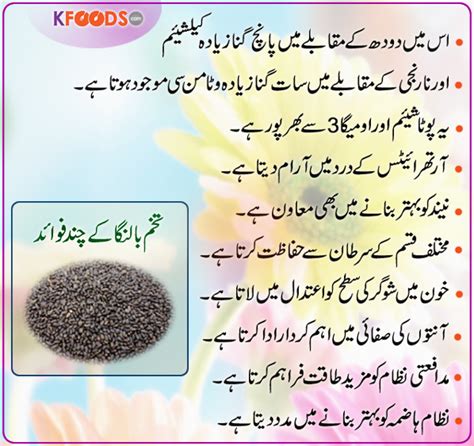 Tukhm E Balanga Basil Seeds Benefits In Urdu Basil Seeds