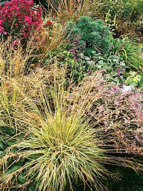 15 Top Native Plants Of The Pacific Northwest Better Homes Gardens