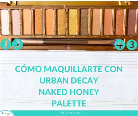 Cómo maquillarte los ojos usando Urban Decay Naked Honey Hispana Global