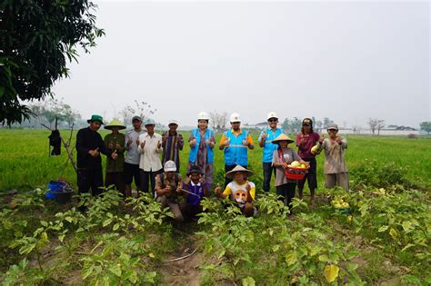 Berkat Program Electrifying Agriculture Pln Keuntungan Petani Naik