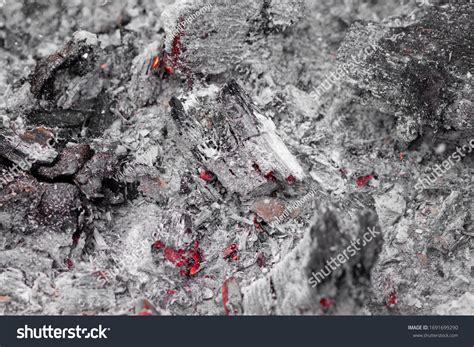 Catch The Smoldering Heat No Whisper Could Match In These Unforgettable Tracks news