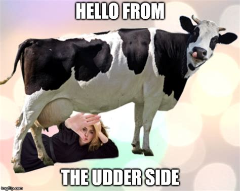 Adele Meme Hello From The Other Side