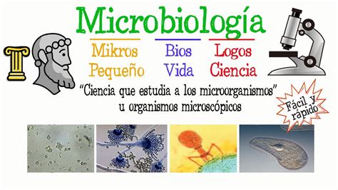 Qué es la Microbiología Fácil y Rápido BIOLOGÍA YouTube