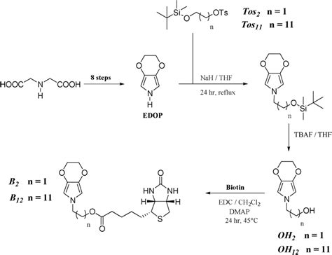 Scheme 2 Synthetic Route To The Monomers Download Scientific Diagram