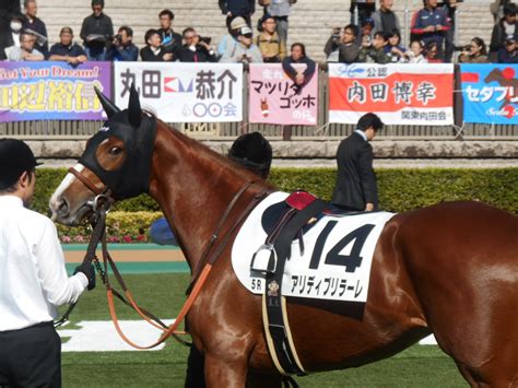 パドックでは分からない3つのこと 競馬で生活する僕は