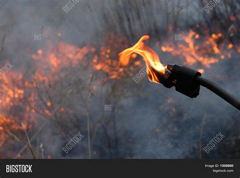 Fire Starter Image & Photo (Free Trial) | Bigstock