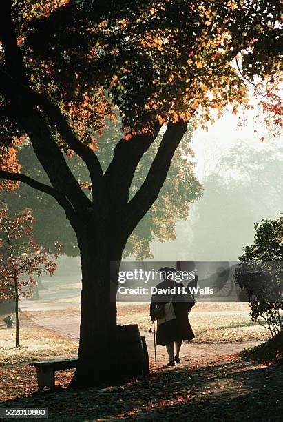 Colonial Man Silhouette Photos And Premium High Res Pictures Getty Images