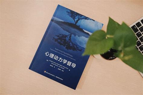 新书上架 心理动力学督导澎湃号·湃客澎湃新闻 The Paper