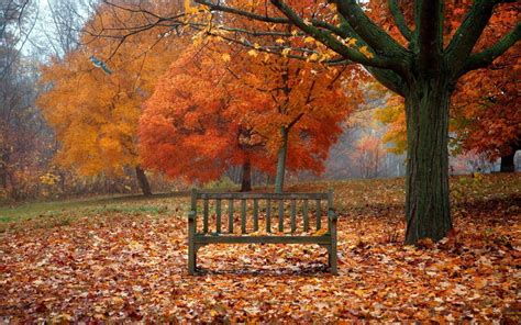 Autumn Scenes Desktop Wallpapers - Top Free Autumn Scenes Desktop ...