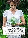 Plantas Para Jardim Vertical Como Planejar E Valorizar Espa Os