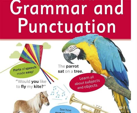 Dk高分好评《给孩子的英语语法指南图册》visual Guide To Grammar And Punctuation 爱贝亲子网