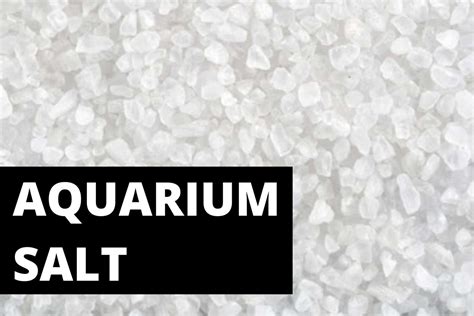 Aquarium Salt The Ultimate Guide Fish Laboratory