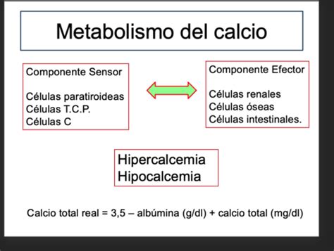 Fichas De Aprendizaje Anatomia Tema 1 UF2 Reconocimiento De La Anatomia