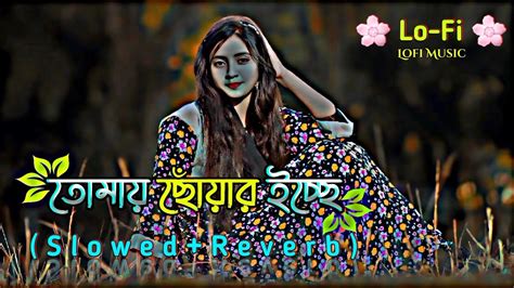 তময ছযর ইচছ Slowed Reverb Bangla Lofi song Bangla