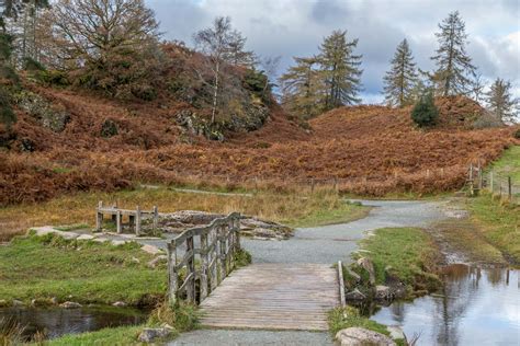 Tarn Hows Walk The Tarns Walk Coniston Walks Lake District Walks