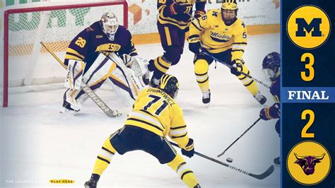 Pin by R S on Michigan Wolverines Hockey | Michigan wolverines hockey ...