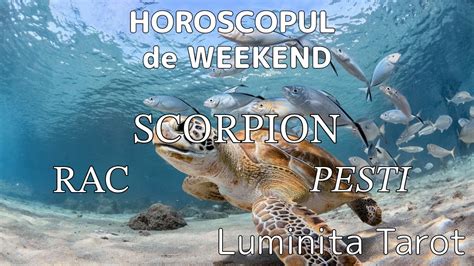 HOROSCOP DE WEEKEND 2 3 SEPTEMBRIE ZODIILE DE APA RAC SCORPION