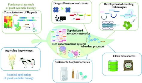 Synthetic Biology Journal