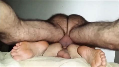Free Hairy Breeding Gay Porn Videos Xhamster