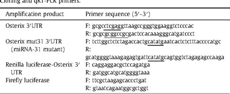 Table From Microrna Expression Profiling Of Human Bone Marrow