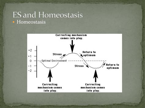 Ppt Hormones And Feedback Mechanisms Powerpoint Presentation Free